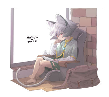 Rule 34 | 1girl, animal ears, bag, barefoot, book, daitai konna kanji, full body, grey hair, head rest, highres, mouse (animal), mouse ears, mouse tail, nazrin, red eyes, short hair, sitting, solo, tail, touhou