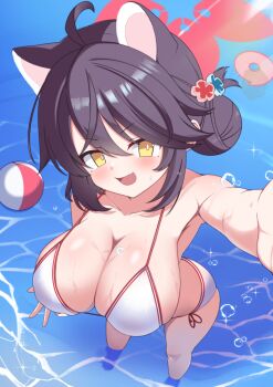 >:) 1girl :d ahoge alternate_costume animal_ears ball beachball bikini blue_archive breasts bright_pupils brown_hair fang hair_bun halo highres kaede_(blue_archive) large_breasts medium_hair modaeru_(555toyo) open_mouth oppai_loli selfie side-tie_bikini_bottom skin_fang smile solo sweat swimsuit v-shaped_eyebrows wading water white_bikini white_pupils yellow_eyes