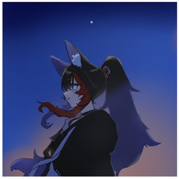 1girl animal_ear_fluff animal_ears black_hair brown_eyes closed_mouth commentary_request highres hololive hood hoodie looking_at_another night ookami_mio pohitashi ponytail sky upper_body virtual_youtuber wolf_ears wolf_girl