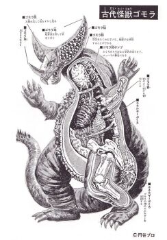 anatomy artist_request biology bone chart cross-section diagram dinosaur gomora heart japanese_text kaiju monster official_art organs science science_fiction skeleton spikes translation_request tsuburaya_productions ultra_series ultraman_(1st_series) x-ray