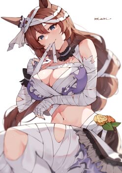 1girl absurdres animal_ears applying_bandages artist_name bandage_in_mouth bandage_on_hair bandaged_arm bandaged_hand bandaged_head bandaged_leg bandaged_torso bandages bandeau blue_eyes breasts brown_hair cleavage commentary_request flower hair_between_eyes highres horse_ears horse_girl horse_tail large_breasts long_hair looking_at_viewer misoni_(mi_so_ni_t) mummy_costume nail_polish navel orange_flower orange_rose purple_bandeau purple_nails rose signature simple_background solo super_creek_(chiffon-wrapped_mummy)_(umamusume) super_creek_(umamusume) tail thighs torn_bandages torn_bandeau umamusume very_long_hair white_background yellow_flower yellow_rose