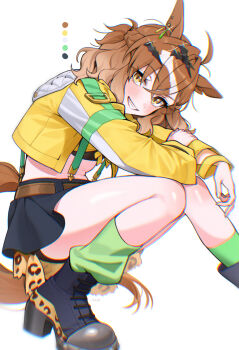 Rule 34 | 1girl, absurdres, ahoge, animal ears, bandeau, blush, braid, brown hair, commentary request, earrings, green socks, grin, hair between eyes, hair ornament, hairclip, half up braid, half up half down braid, haze (7h4ze), highres, horse ears, horse girl, horse tail, jacket, jewelry, jungle pocket (champion's battle cry) (umamusume), jungle pocket (umamusume), legs, long sleeves, looking at viewer, medium hair, navel, notched ear, open clothes, open mouth, single loose sock, skirt, smile, socks, squatting, suspender skirt, suspenders, tail, teeth, thighs, umamusume, yellow bandeau, yellow eyes, yellow jacket