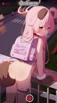 1girl absurdres against_railing ahoge anal anal_object_insertion anal_tail animal_ears animal_hands ass backpack bag bare_shoulders bdsm blue_archive blue_eyes blurry blurry_background blush breath brown_gloves butt_plug collar controller crossed_bangs dog_ears dog_girl dog_tail exhibitionism fake_screenshot fake_tail female_focus from_behind fur-trimmed_gloves fur_trim gloves grin hair_between_eyes halo happy heterochromia highres hoshino_(blue_archive) huge_filesize leaning_forward leash loli long_hair looking_at_viewer looking_back nude object_insertion outdoors paw_gloves pet_play pink_hair public_indecency pussy_juice railing randoseru recording remote_control remote_control_vibrator road setmen sex_toy sidelocks slave smile solo standing sweat tail teeth thigh_strap timestamp vaginal vaginal_object_insertion vibrator vibrator_cord yellow_eyes
