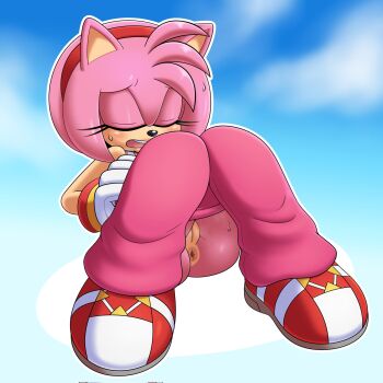 1girl amy_rose anus ass highres hyoumaru pussy sonic_(series) sonic_riders_(series)