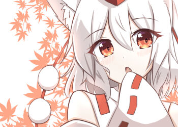 1girl absurdres animal_ears autumn_leaves commentary detached_sleeves hand_to_own_mouth hat highres inubashiri_momiji leaf looking_at_viewer open_mouth pom_pom_(clothes) red_eyes red_hat ribbon-trimmed_sleeves ribbon_trim satsuki_koyomi shirt short_hair sleeveless sleeveless_shirt sleeves_past_fingers sleeves_past_wrists solo tokin_hat touhou white_hair white_shirt white_sleeves wolf_ears wolf_girl