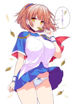 1girl arle_nadja blue_panties blue_skirt bow bow_panties breasts brown_hair closed_mouth clothes_lift commentary_request falling_leaves groin hand_up highres holding holding_leaf large_breasts leaf light_smile looking_at_viewer madou_monogatari panties pleated_skirt ponytail puyopuyo shirt shiwasu_horio short_sleeves simple_background skirt skirt_lift solo translation_request underwear white_background white_shirt wind wind_lift yellow_eyes