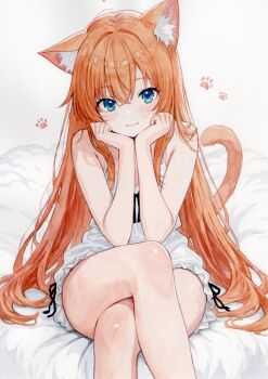 1girl :3 absurdres animal_ear_fluff animal_ears ayane_(ayaneiroaya) blue_eyes blush cat_ears cat_girl cat_tail commentary crossed_bangs crossed_legs dress hair_between_eyes hands_on_own_chin head_rest highres long_hair looking_at_viewer orange_hair original painting_(medium) paw_print sitting smile solo tail thighs traditional_media watercolor_(medium) white_background white_dress