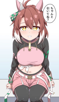 Rule 34 | 1girl, animal ears, belt, bow, breasts, brown hair, clenched teeth, commentary request, dantsu flame (center spotlight) (umamusume), dantsu flame (umamusume), ear covers, ear ribbon, grin, hiro (pqtks113), horse ears, horse girl, horse tail, large breasts, looking at viewer, midriff, multicolored hair, navel, pink shorts, shorts, sitting, smile, solo, speech bubble, tail, teeth, translation request, two-tone hair, umamusume, white belt, white hair