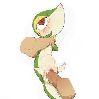 Rule 34 | 1girl, brown eyes, cum, gen 5 pokemon, highres, nintendo, penis, pokemon, pokemon (creature), pussy, snivy, uncensored, youjo modoki