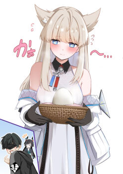 Rule 34 | 1boy, 2girls, animal ears, arknights, arknights: endfield, averting eyes, bare shoulders, black gloves, blue eyes, blush, brown hair, chen qianyu (arknights), closed mouth, commentary request, dress, egg, endministrator (arknights), flying sweatdrops, gloves, jacket, konka, long sleeves, male endministrator (arknights), multiple girls, open clothes, open jacket, perlica (arknights), white dress, white jacket