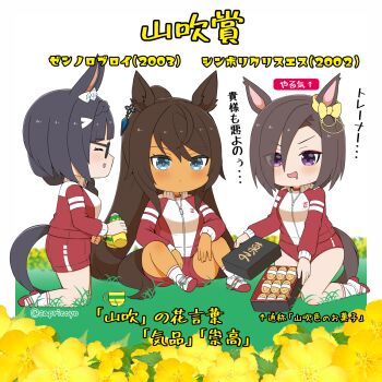3girls :d ^_^ air_groove_(umamusume) animal_ears arrow_(symbol) bento black-framed_eyewear black_hair blue_eyes blush bow braid breasts brown_hair buruma capriccyo closed_eyes closed_mouth commentary_request drooling ear_bow flower gameplay_mechanics glasses grass gym_shirt gym_shorts gym_uniform hair_between_eyes highres holding horse_ears horse_girl horse_tail jacket kneeling long_hair medium_breasts mood_(umamusume) mouth_drool multiple_girls on_grass open_mouth purple_eyes red_buruma red_jacket red_shorts shirt shoes shorts simple_background smile socks symboli_kris_s_(umamusume) tail translation_request twitter_username umamusume v-shaped_eyebrows very_long_hair white_background white_shirt white_shoes white_socks yellow_bow yellow_flower zenno_rob_roy_(umamusume)