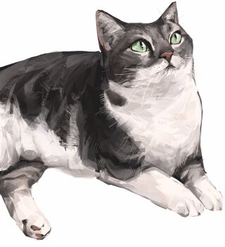animal animal_focus cat commentary commission english_commentary green_eyes grey_cat highres junbuug lying no_humans original realistic simple_background solo white_background