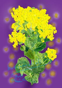 commentary_request flower flower_focus kougennchishi leaf no_humans original plant purple_background rapeseed_blossoms signature yellow_flower