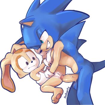 1boy 1girl absurdres age_difference anal animal_ears animal_nose anitwenty artist_name barefoot biting_own_lip blue_fur body_fur brown_eyes brown_fur completely_nude constricted_pupils cream_the_rabbit flat_chest furry furry_female furry_male furry_with_furry gloves green_eyes grin hedgehog_boy hetero highres interspecies just_the_tip loli nipples nude parted_lips penis pussy rabbit_ears rabbit_girl sex sideways_mouth simple_background smile sonic_(series) sonic_the_hedgehog spread_legs tail testicles textless_version uncensored white_background white_gloves