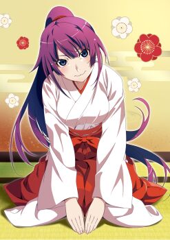 1girl :3 alternate_costume blue_eyes blush breasts closed_mouth full_body gesugesu_ahoaho hakama highres indoors japanese_clothes kimono long_hair long_sleeves looking_at_viewer medium_breasts miko monogatari_(series) obi on_ground ponytail purple_hair red_hakama sash seiza senjougahara_hitagi sidelocks sitting solo tatami very_long_hair white_kimono wide_sleeves