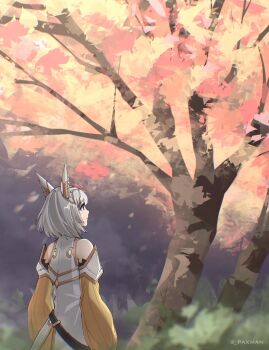 Rule 34 | 1girl, animal ear fluff, animal ears, artist name, cat ears, cat girl, cherry blossoms, closed mouth, commentary, english commentary, grey hair, highres, in-universe location, looking up, medium hair, nia (xenoblade), night, pax (seo7h), smile, standing, tree, xenoblade chronicles (series), xenoblade chronicles 3