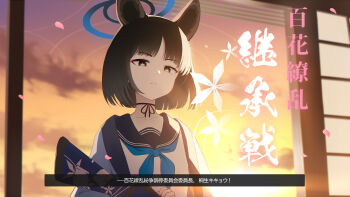 1girl aged_down animal_ear_fluff animal_ears backlighting black_eyes black_hair black_ribbon black_sailor_collar blue_archive blue_halo blue_neckerchief blunt_ends bob_cut bright_pupils cat_ears cat_girl closed_mouth collarbone commentary_request extra_ears eyeshadow falling_petals frown gun halo hamachikichiki haori_on_shoulders highres holding holding_gun holding_weapon indoors kikyou_(blue_archive) looking_at_viewer makeup neck_ribbon neckerchief petals red_eyeshadow ribbon sailor_collar school_uniform serafuku shirt short_hair solo split_mouth subtitled sunset translation_request tsurime upper_body weapon white_pupils white_shirt window