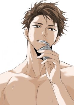 Rule 34 | 1boy, brown eyes, brown hair, collarbone, commentary request, condom, condom in mouth, haikyuu!!, highres, holding, holding condom, looking at viewer, male focus, mouth hold, nude, oikawa tooru (haikyuu!!), sac hi9, short hair, simple background, solo, sweat, teeth, white background