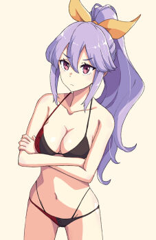 1girl bikini black_bikini breasts collarbone commentary_request crossed_arms expressionless highres jack_(wkm74959) long_hair medium_breasts midriff multicolored_bikini navel ponytail purple_eyes purple_hair red_bikini solo swimsuit touhou two-tone_bikini watatsuki_no_yorihime