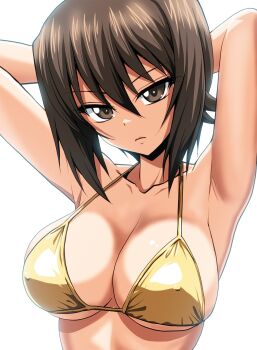 1girl armpits arms_up bikini breasts brown_eyes brown_hair cleavage closed_mouth collarbone covered_erect_nipples girls_und_panzer gold_bikini highres kamishima_kanon large_breasts looking_at_viewer nishizumi_maho short_hair simple_background solo swimsuit upper_body white_background