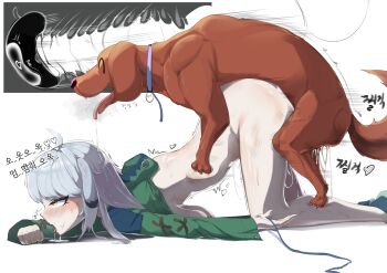 1boy 1girl ahegao animal_penis ass bestiality blush bottomless breast_press breasts clothed_sex cum cum_in_pussy dog dog_penis grey_hair heart huge_breasts japanese_text knotted_penis knotting long_hair open_mouth original penis rolling_eyes saliva saliva_trail sex sex_from_behind simple_background tongue tongue_out top-down_bottom-up vaginal white_background x-ray