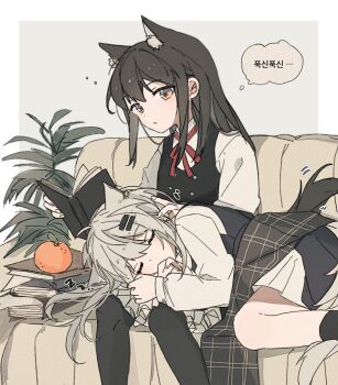 ... 2girls animal_ear_fluff animal_ears arknights black_hair black_socks black_vest book book_stack border buttons caressing check_translation closed_eyes closed_mouth commentary couch curled_up dot_nose extra_ears food from_side fruit grey_background grey_hair hair_ornament hairclip hand_in_another&#039;s_hair hand_up highres holding holding_book indoors korean_text lap_pillow lappland_(arknights) leaf long_hair long_sleeves looking_at_object lying messy_hair multiple_girls on_couch on_side open_book orange_(fruit) orange_eyes outside_border pale_skin plant pleated_skirt potted_plant reading red_ribbon resting ribbon seri_(vyrlw) shirt simple_background sitting skirt sleeping socks speech_bubble spoken_ellipsis spoken_zzz symbol-only_commentary tail texas_(arknights) translation_request vest white_border white_shirt white_skirt wolf_ears wolf_girl wolf_tail yuri zzz