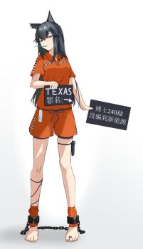 1girl alternate_costume animal_ears arknights arrow_(symbol) barefoot bound_ankles chain character_name chinese_commentary chinese_text closed_mouth collared_shirt commentary_request cuffs feet full_body gradient_background grey_background hair_between_eyes highres holding holding_sign leg_warmers looking_at_viewer mouth_hold nail_polish orange_leg_warmers orange_nails orange_shirt orange_shorts pink_eyes polo_shirt pouch prisoner shackles shirt short_sleeves shorts sign solo standing texas_(arknights) thigh_pouch thigh_strap toenail_polish toenails toes translation_request user_mvmx2772 white_background wolf_ears wolf_girl