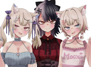 Rule 34 | 3girls, animal ear fluff, animal ears, bare shoulders, black corset, black hair, black ribbon, blonde hair, blue camisole, blue eyes, blue hair, blush, bow, braid, breasts, camisole, chain, closed mouth, collar, collared dress, corset, dog ears, dog girl, dress, fang, frilled camisole, frills, fuwawa abyssgard, fuwawa abyssgard (casual), grey hair, hair bow, hair ornament, hand up, hashtag-only commentary, highres, hololive, hololive english, large breasts, looking at viewer, low twin braids, mococo abyssgard, mococo abyssgard (casual), multicolored hair, multiple girls, natsume mina, neck ribbon, official alternate costume, open mouth, pink collar, pink eyes, pink hair, plaid camisole, purple bow, red dress, ribbon, shiori novella, shiori novella (casual), short hair, siblings, simple background, sisters, smile, split-color hair, streaked hair, twin braids, twins, twintails, two-tone hair, upper body, virtual youtuber, white background, white camisole, x hair ornament, yellow eyes