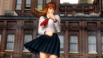 1girl breasts brown_eyes brown_hair dead_or_alive highres kasumi_(doa) large_breasts long_hair looking_at_viewer non-web_source ponytail solo