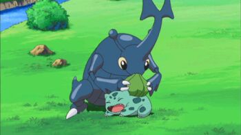 animated animated_gif anime_screenshot attack beetle black_eyes bug bulbasaur claws closed_eyes colored_sclera gen_1_pokemon gen_2_pokemon grass heracross insect lowres nature nintendo no_humans open_mouth outdoors pokemon pokemon_(anime) pokemon_(creature) pokemon_focus rhinoceros_beetle river rock water yellow_sclera