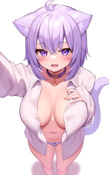 1girl ahoge animal_ears breasts cat_ears cat_girl cat_tail collar deaver highres hololive large_breasts looking_at_viewer nekomata_okayu nekomata_okayu_(oversized_shirt) open_clothes open_mouth open_shirt panties purple_collar purple_eyes purple_hair short_hair simple_background solo standing tail underwear virtual_youtuber white_background