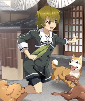 1girl :d architecture bike_shorts black_shorts brown_dog brown_eyes buttons collarbone day dog double-breasted dress east_asian_architecture feet_out_of_frame game_cg green_dress green_hair green_neckerchief heijou_institute_school_uniform himeno_shiho multiple_dogs neckerchief official_art open_mouth outdoors outstretched_arm red_pupils running sailor_collar school_uniform short_hair shorts shorts_under_dress shouji sliding_doors smile solo third-party_source toji_no_miko toji_no_miko:_kizamishi_issen_no_tomoshibi tongue tongue_out white_sailor_collar
