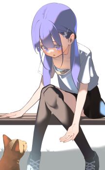 1girl black_shoes black_skirt black_thighhighs blue_bra blush bra breasts cat downblouse hair_ornament hairclip hayakawa_sena_(pei_iriya) highres long_hair looking_down miniskirt open_mouth original pei_iriya purple_eyes purple_hair shirt shoes short_sleeves sitting skirt small_breasts sneakers solo thighhighs twintails underwear white_shirt