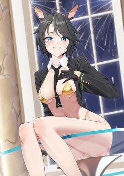 1girl absurdres ahoge animal_ears ass bikini black_gloves black_jacket collar commentary ear_ornament ear_piercing english_commentary fireworks fuji_kiseki_(umamusume) glass_table gloves gold_bikini hand_on_own_chest highres horse_ears horse_girl horse_tail indoors jacket looking_at_viewer necropoi no_pants no_shirt notched_ear piercing short_hair sitting sitting_on_table smile solo swimsuit table tail umamusume