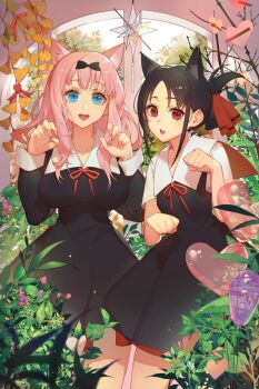 Rule 34 | 2girls, animal ears, black bow, black dress, black hair, blue eyes, bow, cat ears, cat girl, commentary, cowboy shot, dress, folded ponytail, fujiwara chika, hair bow, hair ribbon, heart, kaguya-sama wa kokurasetai ~tensai-tachi no renai zunousen~, kemonomimi mode, long hair, long sleeves, looking at viewer, multiple girls, neck ribbon, open mouth, paw pose, pink hair, red eyes, red ribbon, ribbon, school uniform, shinomiya kaguya, shuuchiin academy school uniform, songjikyo, standing, summer uniform, teeth, upper teeth only, winter uniform