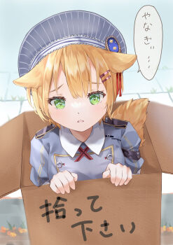 Rule 34 | 1girl, absurdres, animal ears, beret, blonde hair, blush, buttons, commentary request, d:, dog ears, dog girl, dog tail, double-breasted, furrowed brow, green eyes, grey hat, grey jacket, hair between eyes, hair ornament, hair ribbon, hairclip, hands up, hat, heaven burns red, highres, jacket, kemonomimi mode, looking at viewer, maruyama kanata, open mouth, parallel hairclips, red ribbon, ribbon, short hair, solo, speech bubble, tail, tearing up, translated, tsumugi-t, upper body