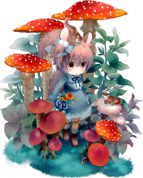 Rule 34 | 1girl, :<, absurdres, animal, animal on head, blue bow, blue dress, blue ribbon, blush, boots, bow, brown boots, brown hair, chipmunk, chipmunk ears, chipmunk girl, chipmunk tail, closed mouth, collared dress, commentary request, dress, hair between eyes, hair bow, highres, lace, lace-trimmed dress, lace socks, lace trim, long sleeves, moonyan, mushroom, neck ribbon, on head, original, pink eyes, ribbon, short hair, socks, solo, squirrel, striped bow, white socks