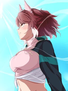 1girl ahoge animal_ears breasts brown_eyes brown_hair commentary dantsu_flame_(center_spotlight)_(umamusume) dantsu_flame_(umamusume) ear_covers from_side highres horse_ears horse_girl large_breasts looking_ahead midriff multicolored_hair navel pakarappakaratt shirt solo tied_shirt two-tone_hair umamusume upper_body white_hair