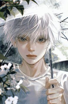 Rule 34 | 1boy, absurdres, bishounen, blue eyes, closed mouth, eyelashes, fingernails, flower, highres, holding, holding umbrella, lips, looking at viewer, male focus, original, rain, shirt, short hair, solo, tan peng le, transparent, transparent umbrella, umbrella, upper body, white flower, white hair, white shirt, white umbrella