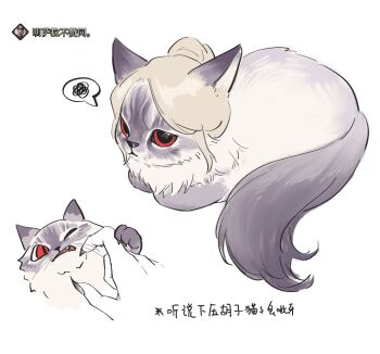Rule 34 | animal focus, animalization, annoyed, baldur's gate, baldur's gate 3, blonde hair, cat, cheek poking, chinese commentary, chinese text, commentary request, dungeons & dragons, fluffy, full body, gameplay mechanics, hair bun, highres, minthara, multiple views, no humans, one eye closed, poking, red eyes, short hair, simple background, single hair bun, spoken squiggle, squiggle, translation request, white background, yetai huanxiang xing yi hao ji