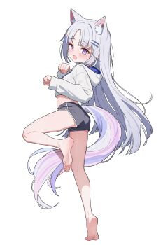 Rule 34 | 1girl, :d, absurdres, animal ears, ayatsuno yuni, barefoot, black shorts, cat ears, commentary request, cropped hoodie, dolphin shorts, full body, grey hair, highres, hood, hood down, hoodie, korean commentary, leg up, long hair, long sleeves, looking at viewer, looking to the side, multicolored hair, multicolored tail, open mouth, purple eyes, saho 4545, shorts, simple background, smile, soles, standing, standing on one leg, stellive, tail, very long hair, virtual youtuber, white background, white hoodie