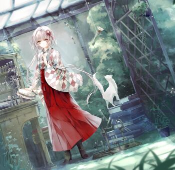 1girl beaker blurry book book_stack boots cat commentary_request cupboard depth_of_field dutch_angle embroidery embroidery_hoop full_body grass grey_eyes hair_ribbon hakama hakama_skirt hanatsumugi_no_hari holding indoors japanese_clothes kakyouin_shirotsume kimono lace-up_boots laruha light_smile long_hair long_sleeves looking_at_viewer meiji_schoolgirl_uniform original overgrown photoshop_(medium) plant potted_plant red_hakama revision ribbon science short_hair_with_long_locks skirt solo standing stool test_tube white_cat white_hair white_kimono wide_sleeves