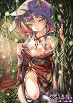 1girl absurdres animal_ears breasts fox_ears fox_girl fox_tail grey_hair highres hood japanese_clothes kimono kink_(tortoiseshell) long_hair looking_at_viewer nature nipples non-web_source open_clothes open_kimono original outdoors sandals small_breasts smile solo tabi tail towako_(akane_shinsha) yellow_eyes zouri