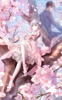 1boy :o artist_request back-to-back black_ribbon blue_hanfu brown_hair card_(medium) chinese_clothes closed_mouth collared_dress day dress english_text flower frilled_dress frills game_cg grey_eyes grey_hair hair_flower hair_ornament hanfu high_heels highres in_tree knees light_particles long_sleeves looking_at_another looking_back neck_ribbon nikki_(series) official_art outdoors pantyhose parted_lips petals pink_dress pink_flower pink_shoes pumps qin_yi_(shining_nikki) ribbon see-through_clothes see-through_pantyhose see-through_sleeves shining_nikki shoes short_hair sitting spring_(season) swept_bangs thousand_dreams_(shining_nikki) tree white_pantyhose white_sleeves wide_sleeves wind yellow_eyes yexiao_(shining_nikki)