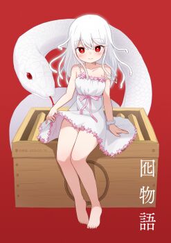 1girl absurdres armlet barefoot box chinese_zodiac closed_mouth collarbone commentary_request dated dress flower highres jewelry kizuna_sora long_hair looking_at_viewer monogatari_(series) on_box pink_flower pink_ribbon red_background red_eyes ribbon sengoku_nadeko simple_background sitting skirt_hold smile snake snake_hair sundress thighs white_dress white_hair year_of_the_snake