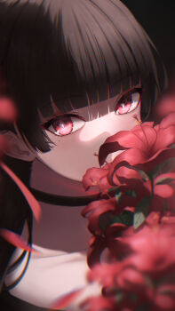 1girl black_choker black_hair blunt_bangs blurry blurry_foreground chisa_(wuthering_waves) choker commentary flower highres iamnk long_hair looking_at_viewer mole mole_under_eye portrait red_eyes red_flower red_petals solo wuthering_waves