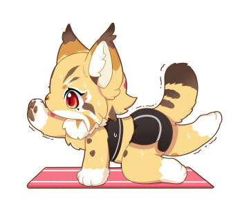 1girl all_fours animal_ears animal_feet animal_hands cat_ears cat_girl cat_tail chibi chibi_only chibikemo commentary ear_tufts english_commentary exercising felice_(fluffy_land) fluffy fluffy_land from_side furry furry_female kikugawa_ru lynx midriff official_art pawpads red_eyes second-party_source shaking simple_background solo sweat tail white_background