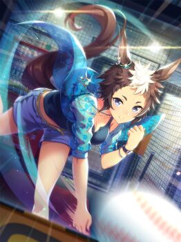 1girl absurdres animal_ear_piercing animal_ears arcade artist_request bare_legs bare_shoulders baseball belt belt_buckle black_tank_top blue_eyes blue_jacket blue_shorts bracelet breasts brown_belt brown_hair buckle chain chain_necklace cleavage clenched_hand closed_mouth denim denim_shorts dot_nose dutch_angle ear_ornament earrings emphasis_lines eyelashes feet_out_of_frame floating_clothes floating_neckwear floral_print forehead game_cg happy highres hoop_earrings horse_ears horse_girl horse_tail indoors jacket jewelry knees leaning_forward legs_apart light_blush light_particles looking_at_viewer medium_breasts mejiro_ryan_(umamusume) messy_hair midriff motion_blur motion_lines multicolored_hair necklace official_art open_clothes open_jacket playing_sports print_jacket short_hair short_shorts short_sleeves shorts smile solo tail tank_top throwing two-tone_hair umamusume white_hair
