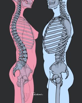 1boy 1girl black_background breasts commentary_request face-to-face from_side guide highres original signature simple_background skeleton tatami_(loop)