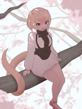 1girl absurdres anteater_ears anteater_tail black_bow black_bowtie black_corset black_suspenders blonde_hair blush bow bowtie brown_eyes center_frills corset frills fur_(clothing) fur_collar hair_between_eyes hair_bow harusan_adelie highres kemono_friends kemono_friends_3 long_sleeves looking_at_viewer multicolored_hair on_branch open_mouth pink_hair pink_shoes pink_trim shirt shoes shorts sidelocks silky_anteater_(kemono_friends) sitting smile solo white_bow white_fur white_shirt white_shorts